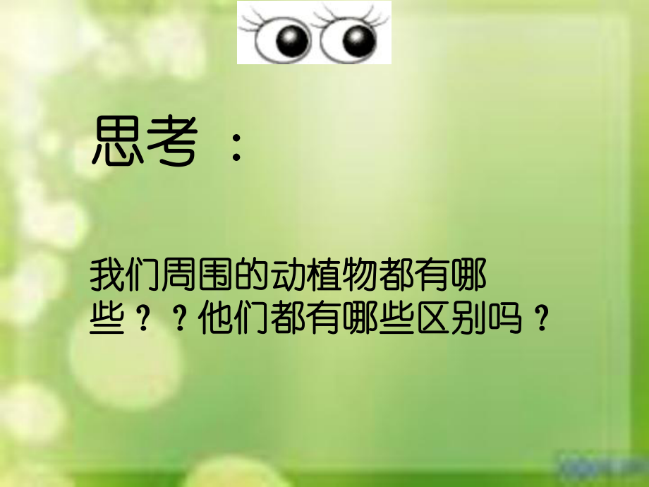 实验1 动物和植物观察_第2页