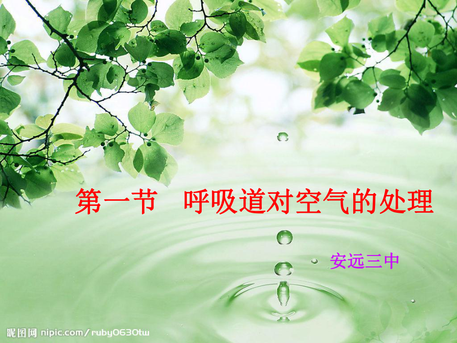 人教版七下第四单元第三章第一节呼吸道对空气的处理(共38张PPT)_第1页