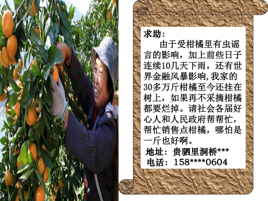 课例社会主义市场经济_第3页