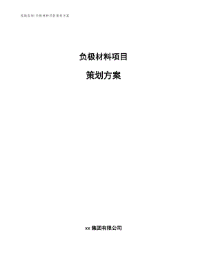 负极材料项目策划方案