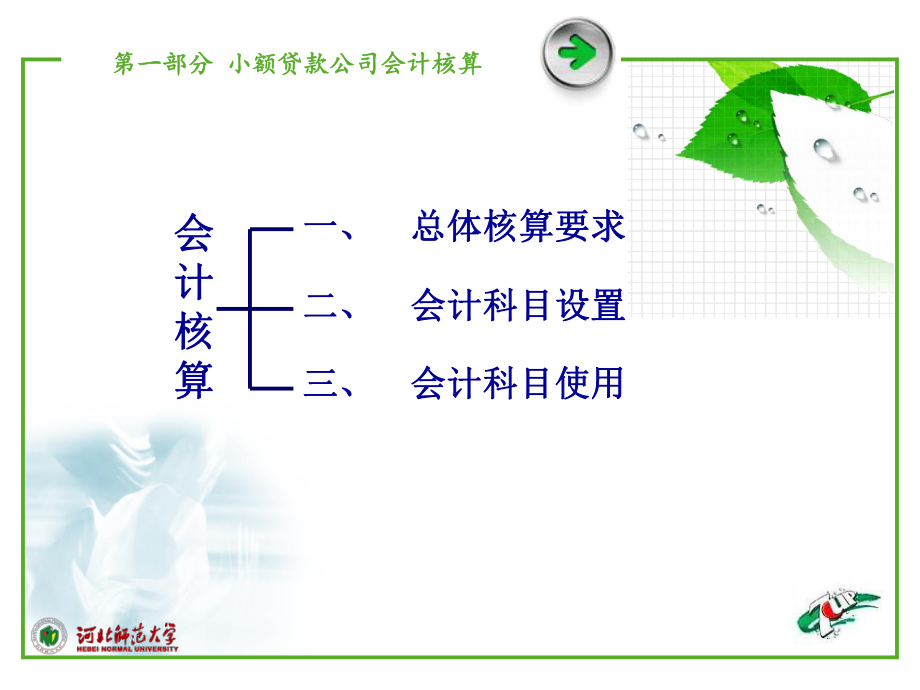 小额贷款会计制度处理与核算_第3页