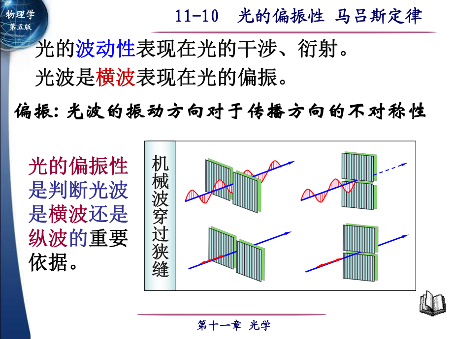 大学物理第十一章光学第10节光的偏振性马吕斯定律_第1页