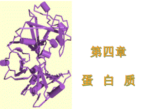 4(上)【考研必备】食品-生物化学-课件-华南理工-宁正祥-第4章蛋白质