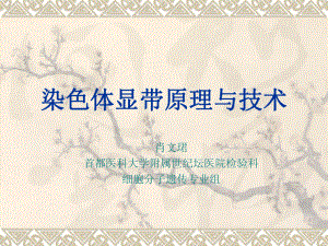 染色体显带原理与技术