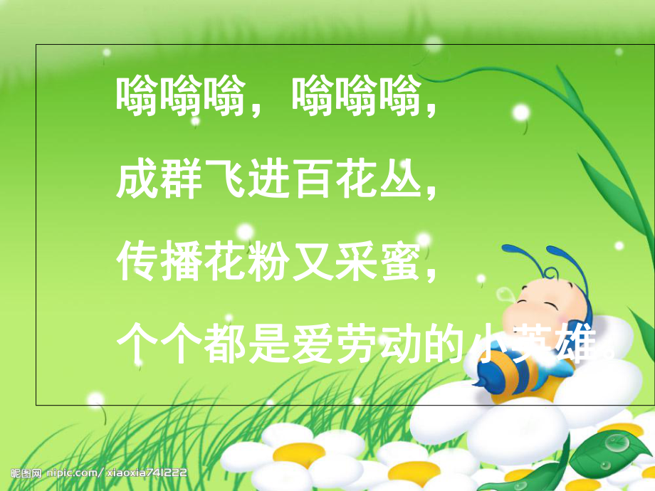 最新26蜜蜂引路课件_第1页